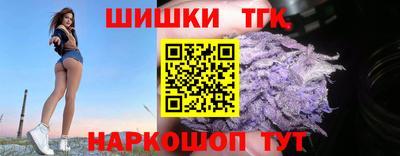 индика Обь