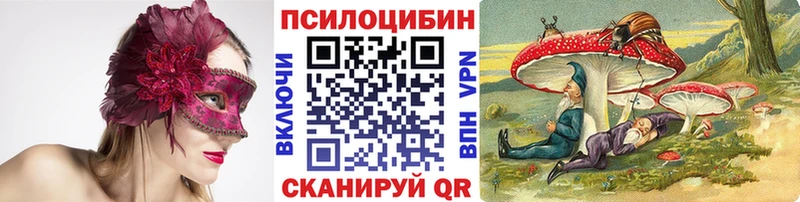 Псилоцибиновые грибы Psilocybe  blacksprut ссылка  Морозовск 
